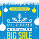 Christmas Sale Social Media Stories - VideoHive Item for Sale