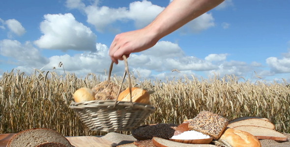 Grain And Bread