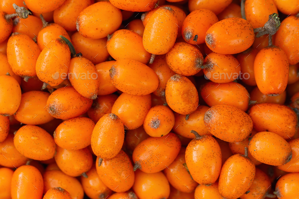Sea buckthorn in full frame shot in background - Stock Photo - Images