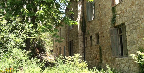Abandoned Building In The Forest