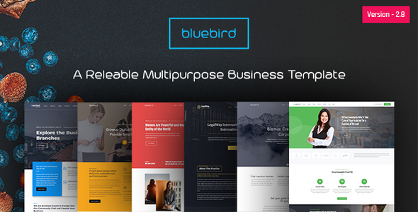 Bluebird - Multipurpose Business HTML Template