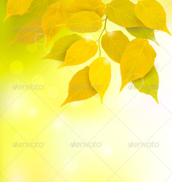 Autumn background with yellow leaves. Vector - Seasons Nature