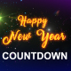 New Year Countdown - VideoHive Item for Sale