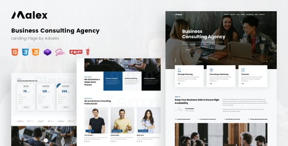 Malex - Business Consulting Agency Landing Page