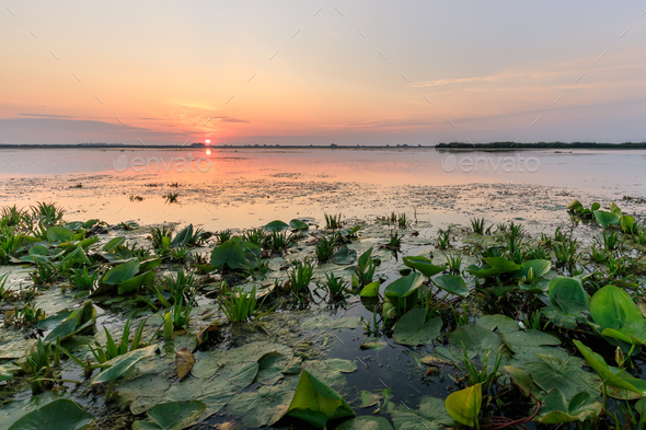 Danube Delta, Romania - Stock Photo - Images