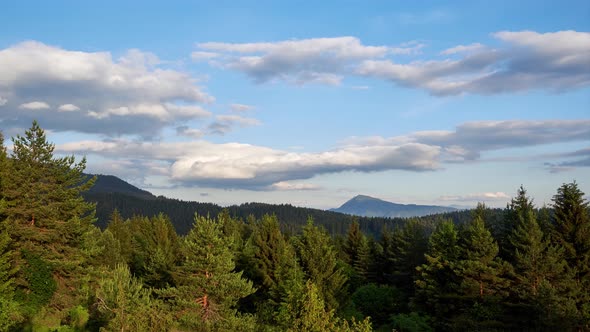 Pine and Spruce Forest Mountain Peak in the Distance Blue Sky with White Clouds
