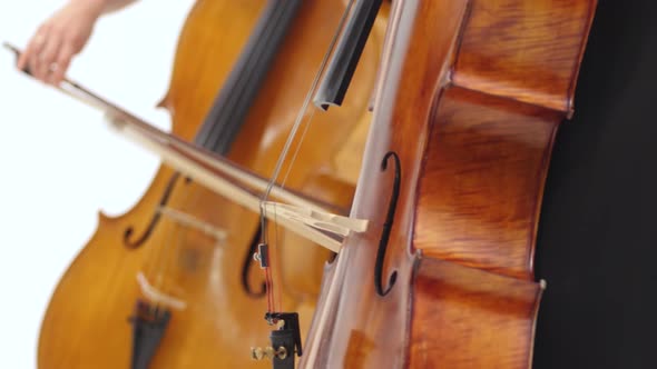 String Ensemble, Close Up of Womens Hands Playing the Violoncellos in White Room. alt