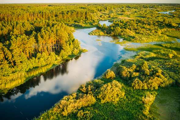 Aerial Elevated View Of Green Forest Growth On River Coast Landscape In Sunny Summer Evening - Stock Photo - Images