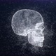 4K Plexus Skull - VideoHive Item for Sale