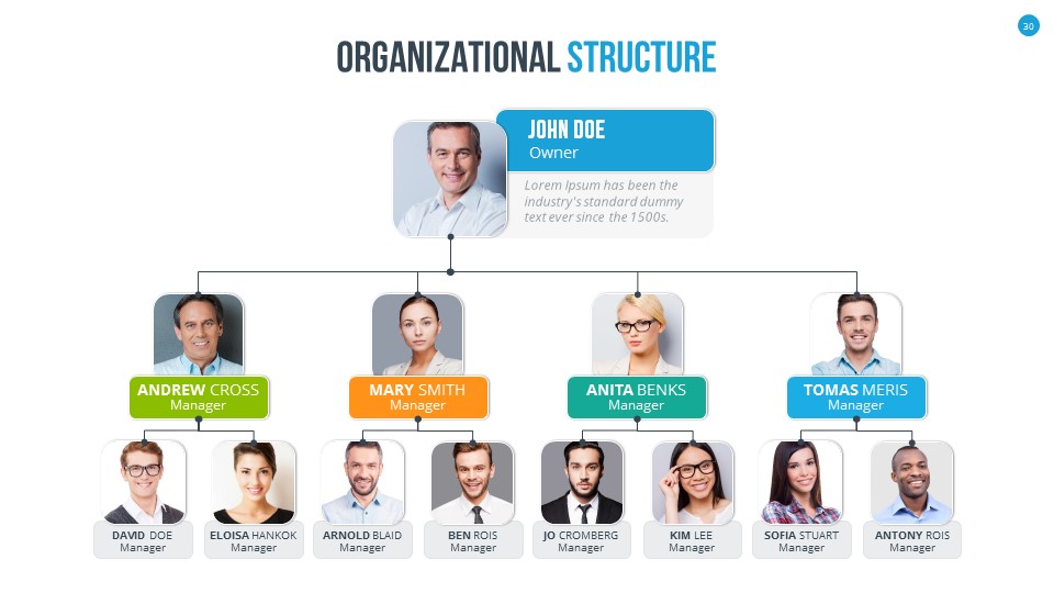 Organizational Chart and Hierarchy PowerPoint Presentation Template ...