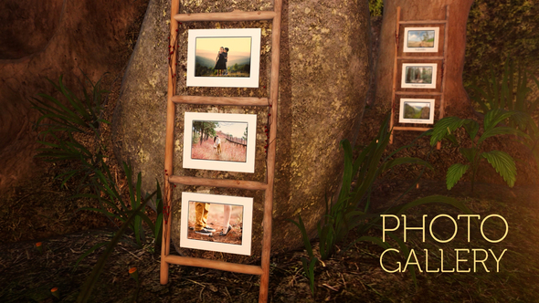 Photo gallery in - VideoHive 24597028