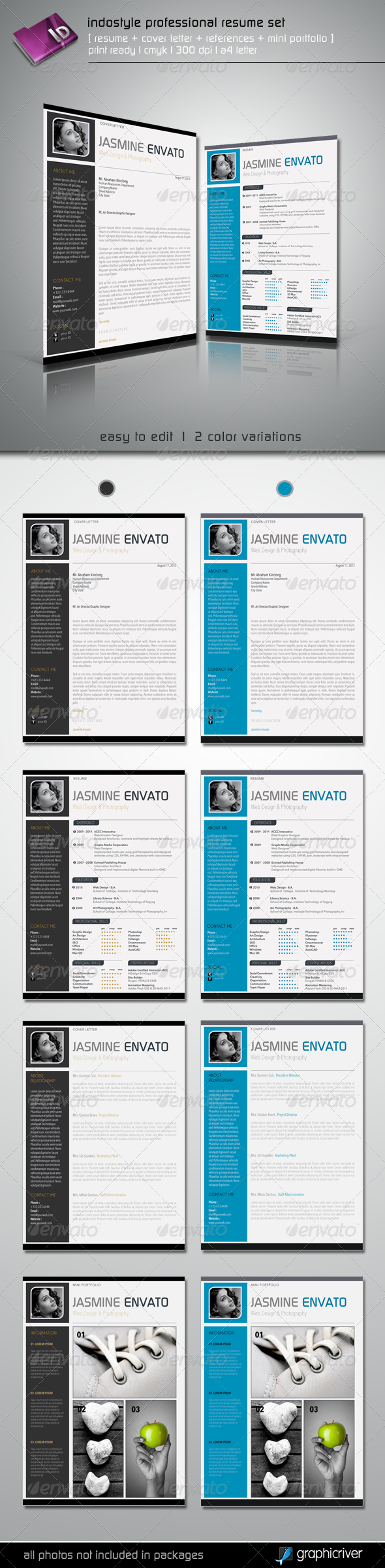 Indostyle Professional Resume Set - Resumes Stationery