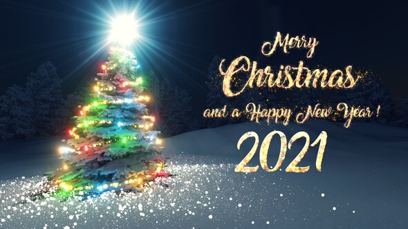 Christmas New Year - VideoHive 21110829