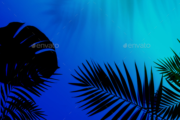 Exotic tropical palm leaves isolated on purple blue gradient background. Flyer for ad, design - Stock Photo - Images