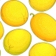 Melon Fruit Vector Pattern on White Background