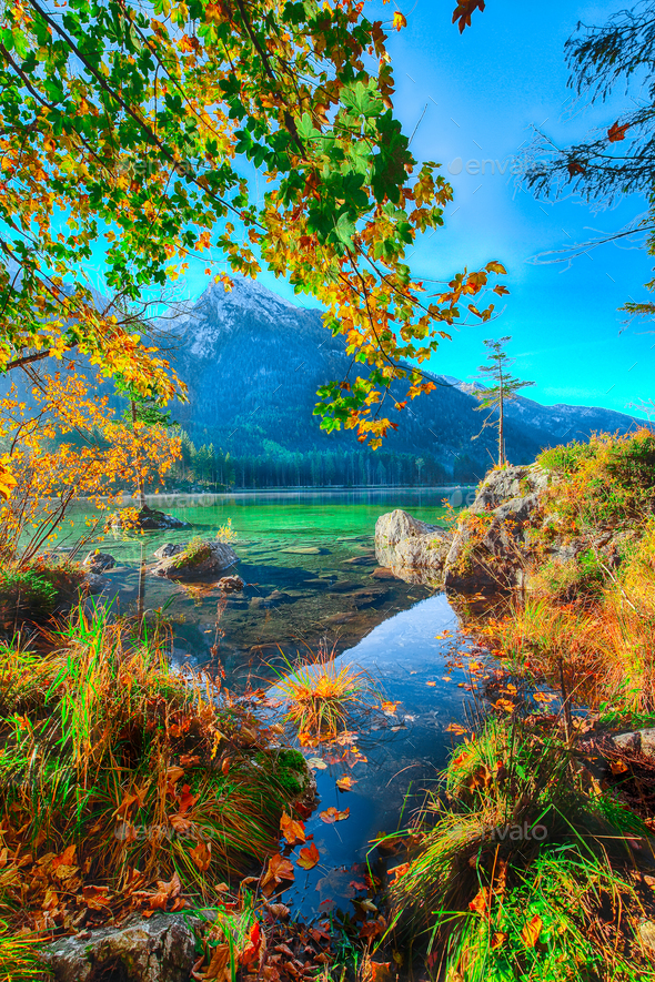 Fantastic autumn sunrise of Hintersee lake. Beautiful scene of trees on ...