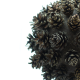 Pine Cones Pine Cones - VideoHive Item for Sale