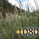 Grass Field In Mountains - VideoHive Item for Sale