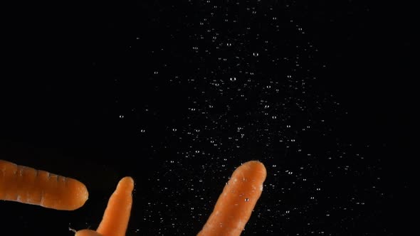 Whole Carrot Falls in Water on Black Background
