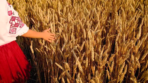 Child in Wheat Field Concept for Ukraine Independence Day alt