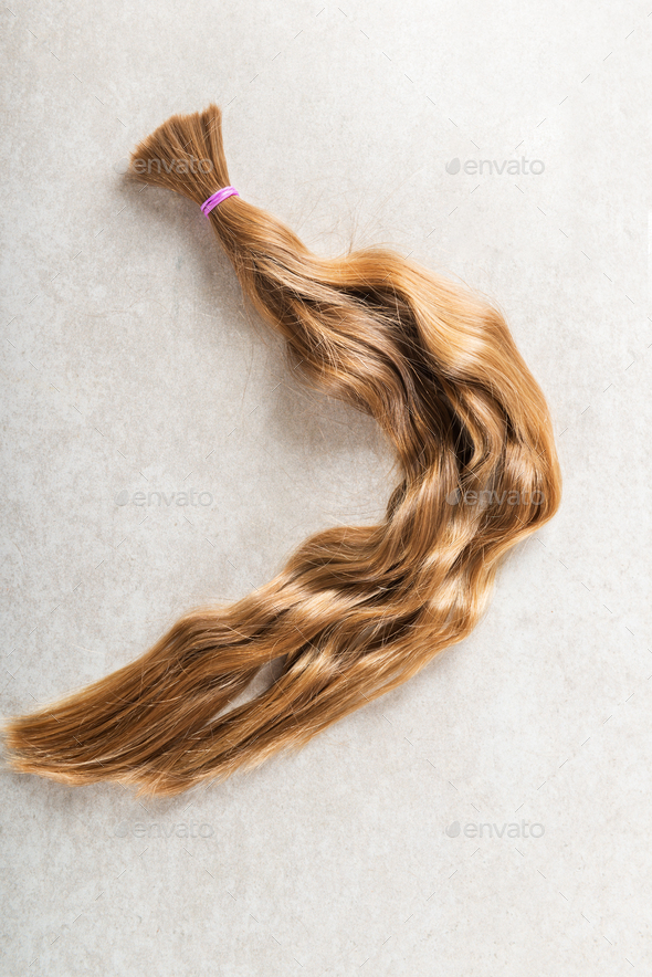 Cut long hair as donation for cancer charity Stock Photo by Manuta