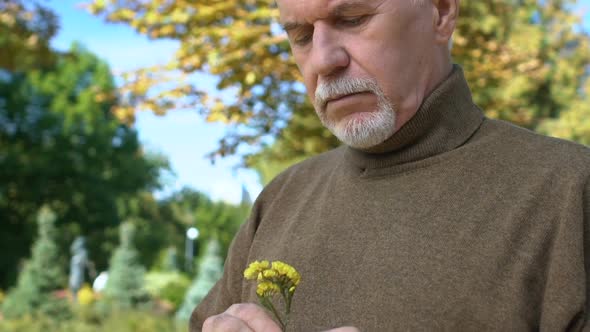 Smiling Elderly Male Holding Yellow Wild Flower Hands Standing Outdoors, Nature