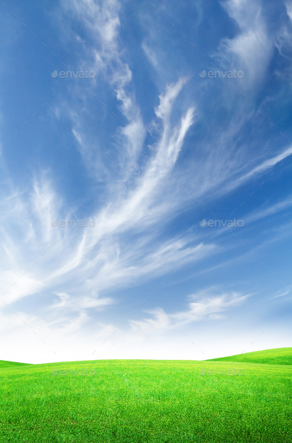 Green Grass Field And Blue Sky Stock Photo By Karandaev Photodune
