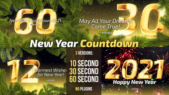 New Year Countdown - VideoHive 22863098