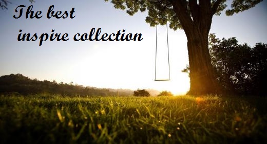 New For Your The Best Project