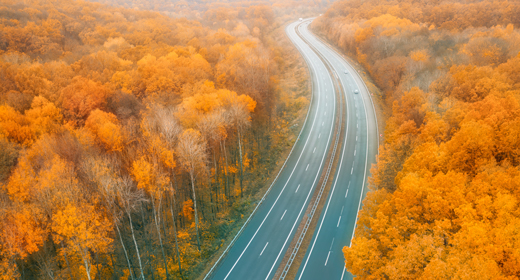 Autumn foliage of trees, Fall season