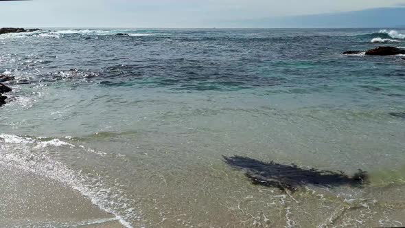 Blue green ocean waves hitting rocks at Seal Rock Beach, 17 mile Drive Spanish bay in Monetery, Cali alt