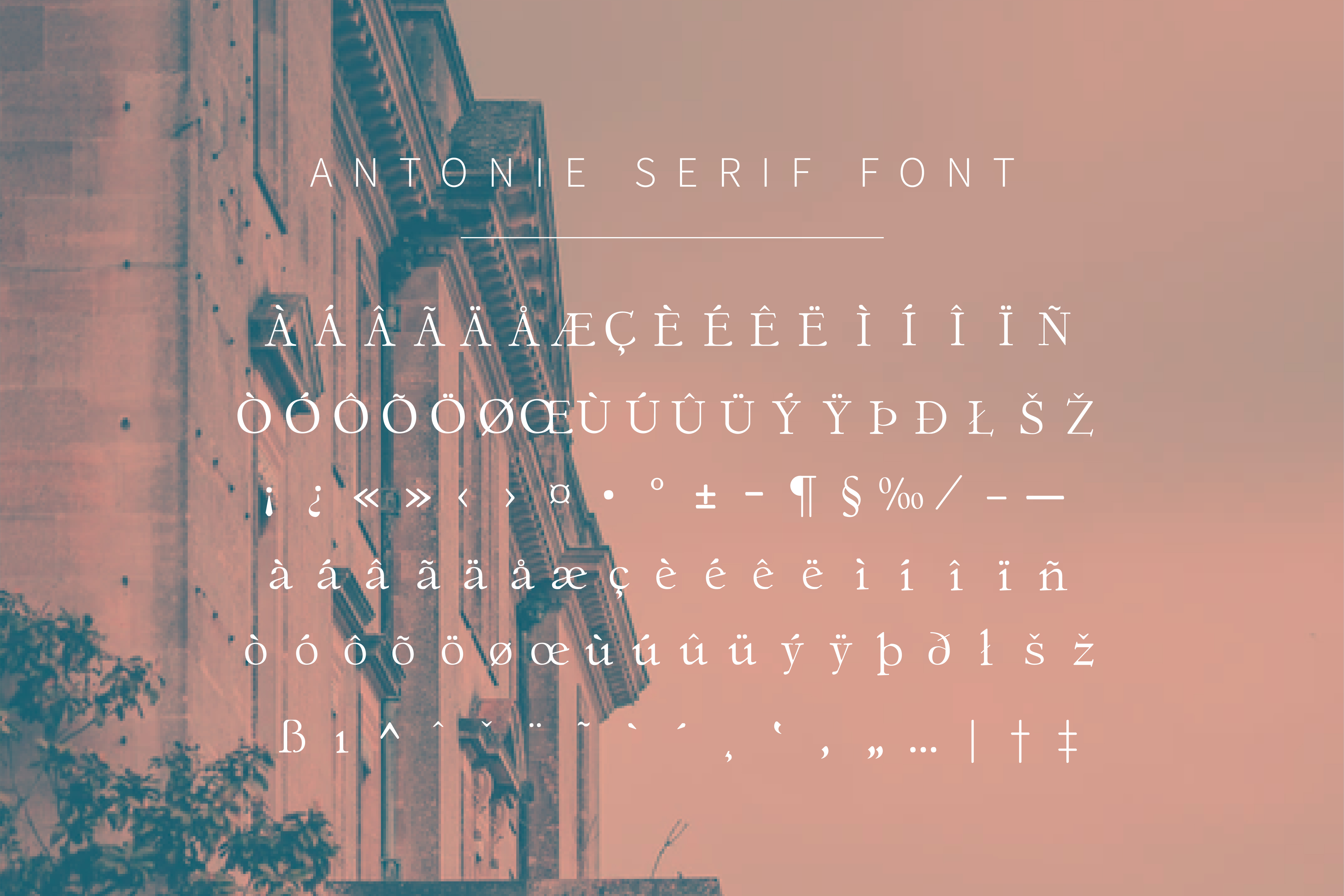 Antonie Classic Serif Font By Typefactoryco Graphicriver