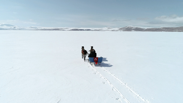 Tourist Taking a Sled Ride by mkstock | VideoHive