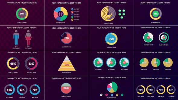 Infographic Pie Chart - VideoHive 29716981