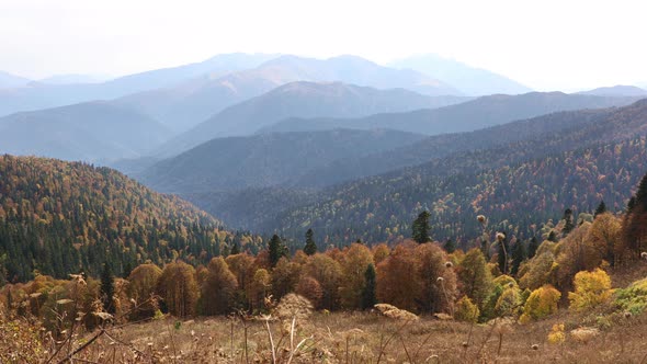 Incredible Landscape of The Mountains in The Golden Autumn