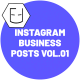 Instagram Business Posts Vol.01 - VideoHive Item for Sale