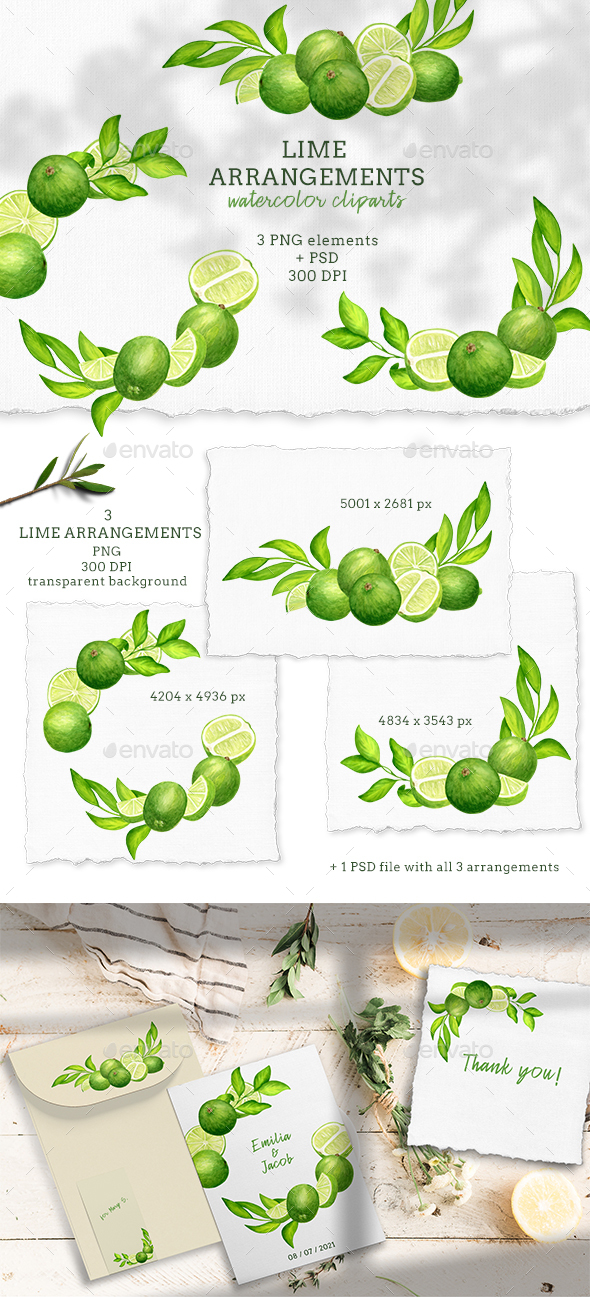 Download Watercolor Lime Arrangements Fruit Frames Clipart Set By Olya Haifisch