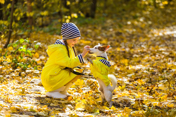 Girl with a dog jack russell terrier. - Stock Photo - Images