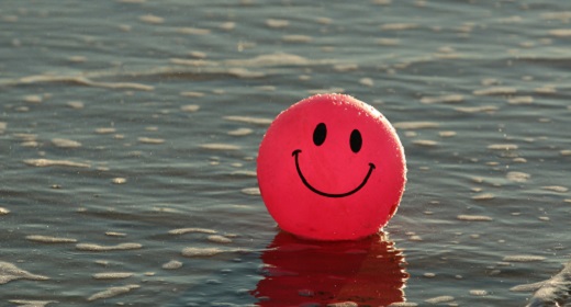 Fun, Funny, Cheerful