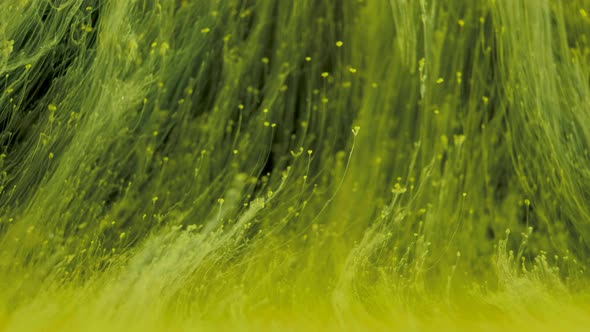 Colorful Ink Paint Background in the Water Like a Mold, Ink Flow Underwater alt