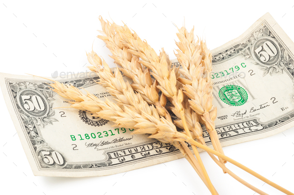Wheat ears and money - Stock Photo - Images