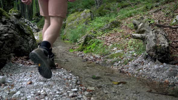 Tourist Hiker is Walking in the Mountains Forest Stepping Over the Stream