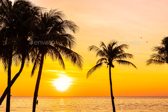 Beautiful Landscape Of Sea Ocean With Silhouette Coconut Palm Tree Stock Photo By Siraphol