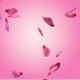 Rose Petals falling - VideoHive Item for Sale