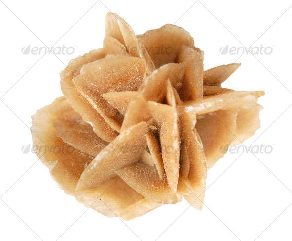 Desert Rose - Nature & Animals Isolated Objects