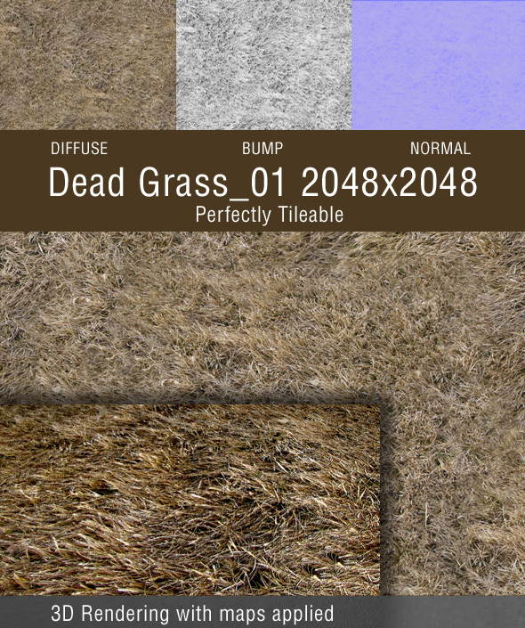 Dead Grass_01 - 3Docean 98169