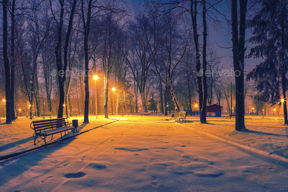 Winter evening in a central park. - Stock Photo - Images