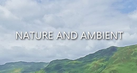 NATURE AND AMBIENT