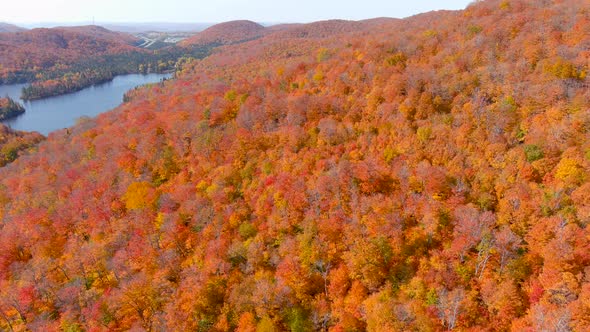Aerial panoramic view of a lake and fall season foliage colors.