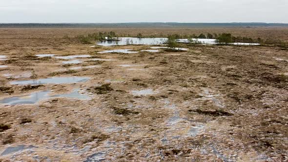 Aerial drone view of some frozen bog lakes in a large wide wetland field. Recorded in Luitemaa Natio alt